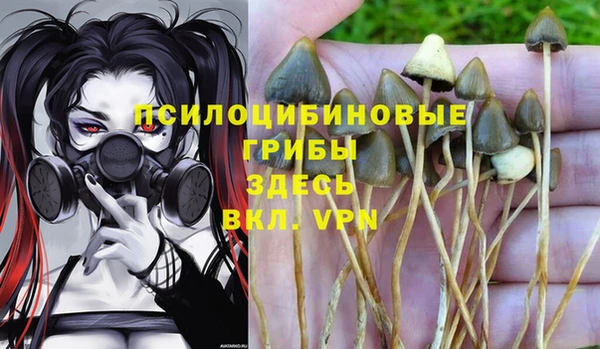 PSILOCYBIN Баксан