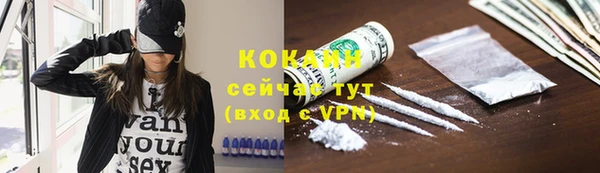 дживик Балахна