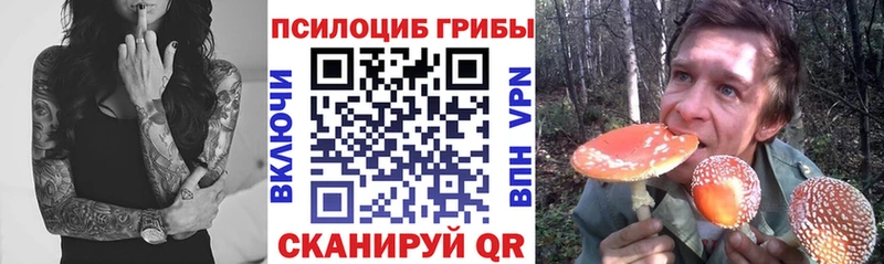 Псилоцибиновые грибы Psilocybe  Новодвинск 